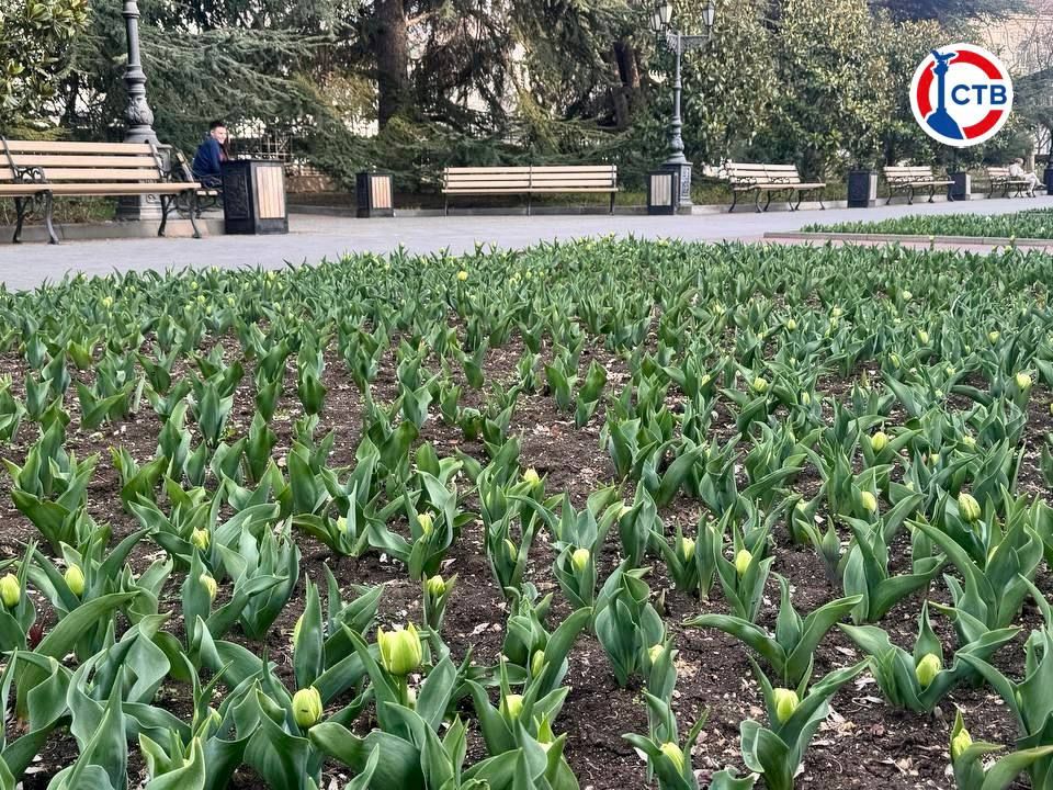 � ������ ����������� ����� ����������� ��������