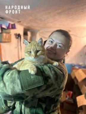 ����� ��� �������� �� �����������: