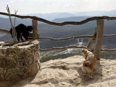 � ������ �����, �����������!