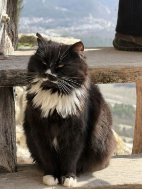 � ������ ����� ��������!. 26 ����� ��� �������