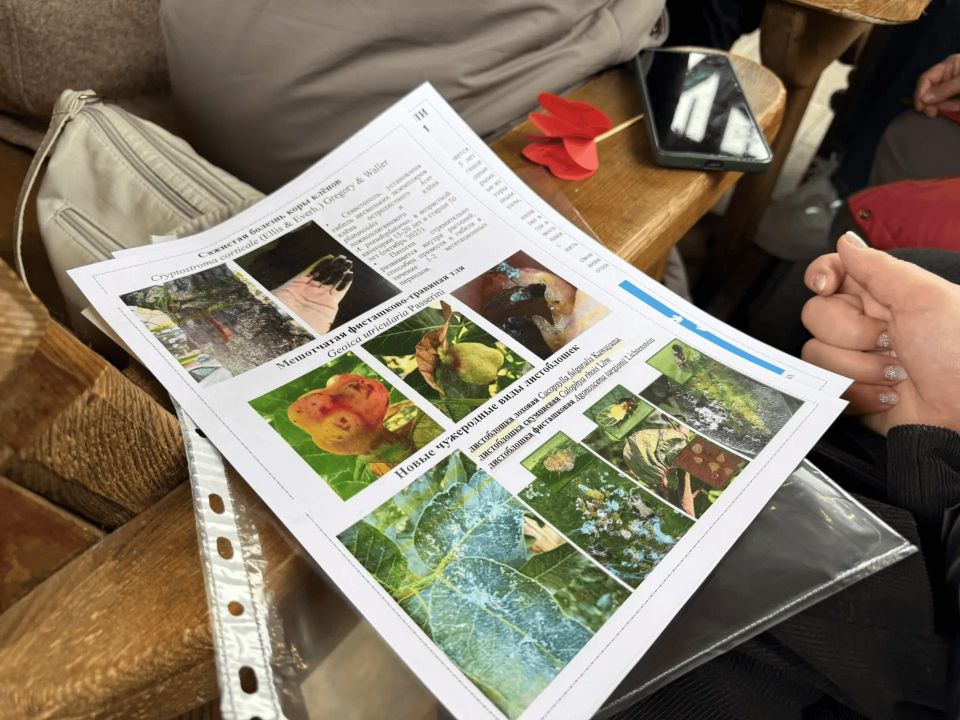 ��������������. � ����������� ��� �������� �������� ������� ��������� ������������� �������� �������-���������