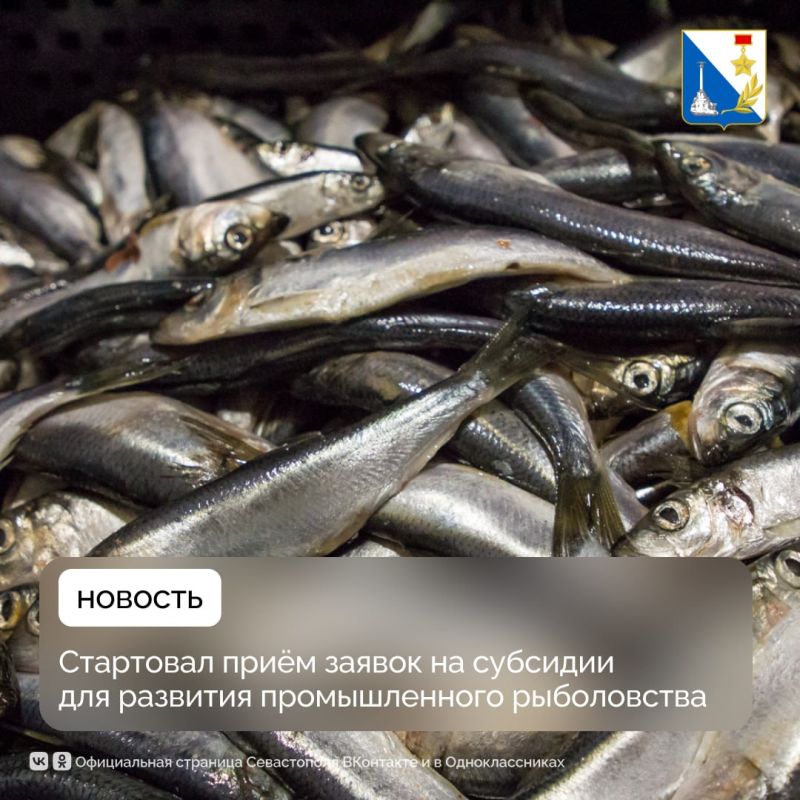 ����������� ��������� ��������� ��������� ������ �� �������� ��� �������� ������������� �����������