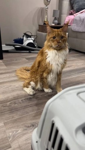 ����� ��� ����, ��������� ����� ������ � ��������������� ���������� �� ��. ����� ���������, ������� ������ ��������� ����