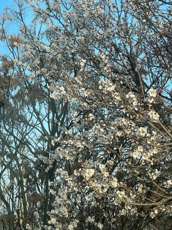 Погода на 26 марта:. • солнечно