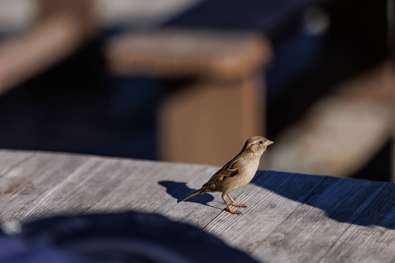Никогда не ждите и не требуйте за любовь — любви, за смирение — похвалы, за служение — благодарности… Старайтесь остаться без земных наград, чтобы не потерять наград небесных Никогда не ждите и не требуйте за любовь — любви, за смирение — похвалы, за служение — благодарности… Старайтесь остаться без земных наград, чтобы не потерять наград небесных