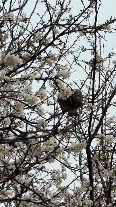 ��������� ������� �������������� ������, ����� � ������ ������