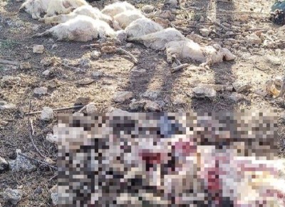 ���� ��������� ����� �������� ����� 40 ��� � �������� �����