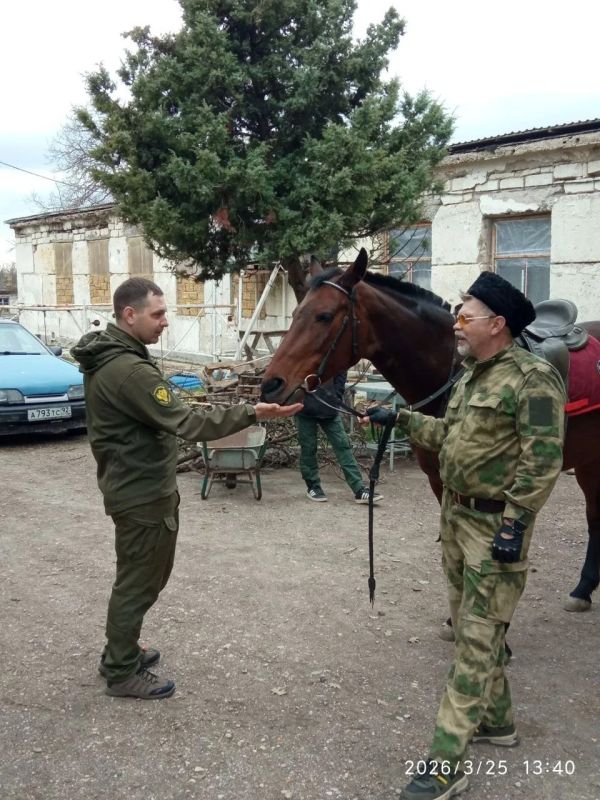 Казаки и лесничие объединили усилия для охраны лесов Севастополя Казаки и лесничие объединили усилия для охраны лесов Севастополя