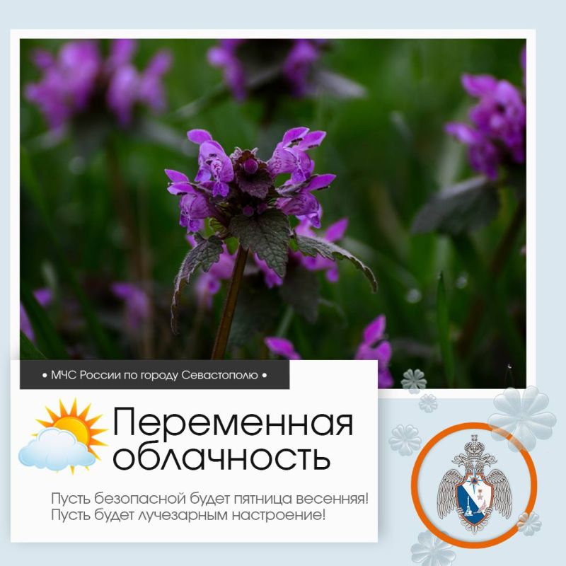 ����������, �����������!. �� ������ ��������������, 27 ����� � ����������� ����� ���������� ����������