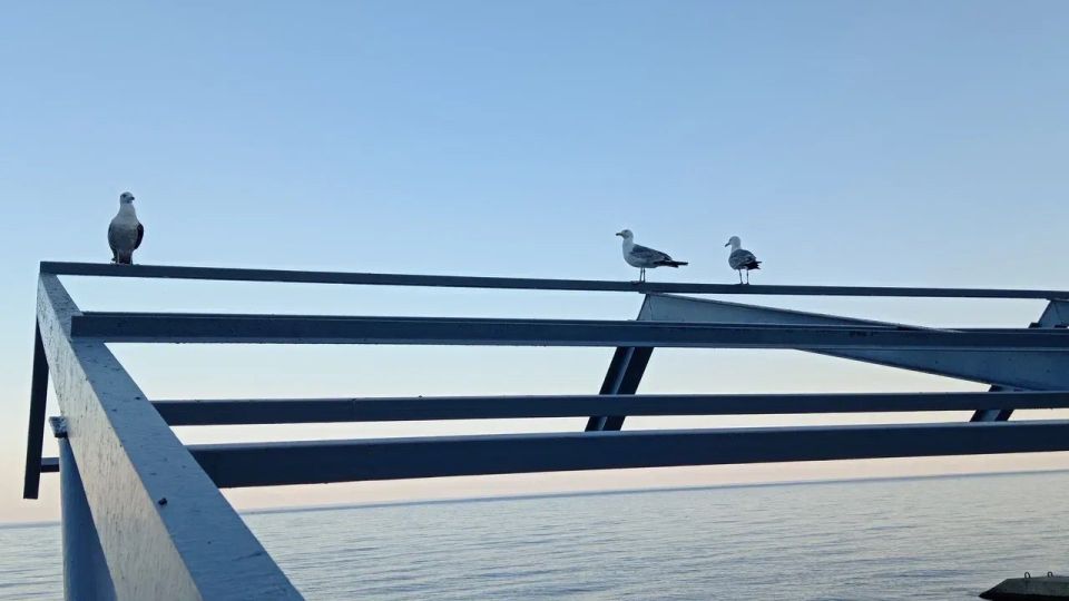 Март. Суббота. Севастополь. Три слова, которые обещают хороший день