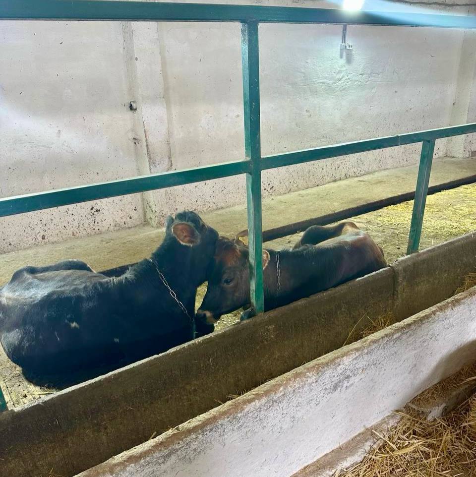 Николай Приставка: С рабочим выездом посетил Крестьянское фермерское хозяйство Петра Ивановича Семенюка в селе Фронтовое Николай Приставка: С рабочим выездом посетил Крестьянское фермерское хозяйство Петра Ивановича Семенюка в селе Фронтовое