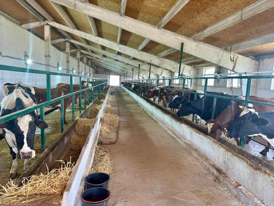 ������� ���������: � ������� ������� ������� ������������ ���������� ��������� ����� ��������� �������� � ���� ���������