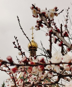 С добрым утром, друзья!. В Севастополе без осадков