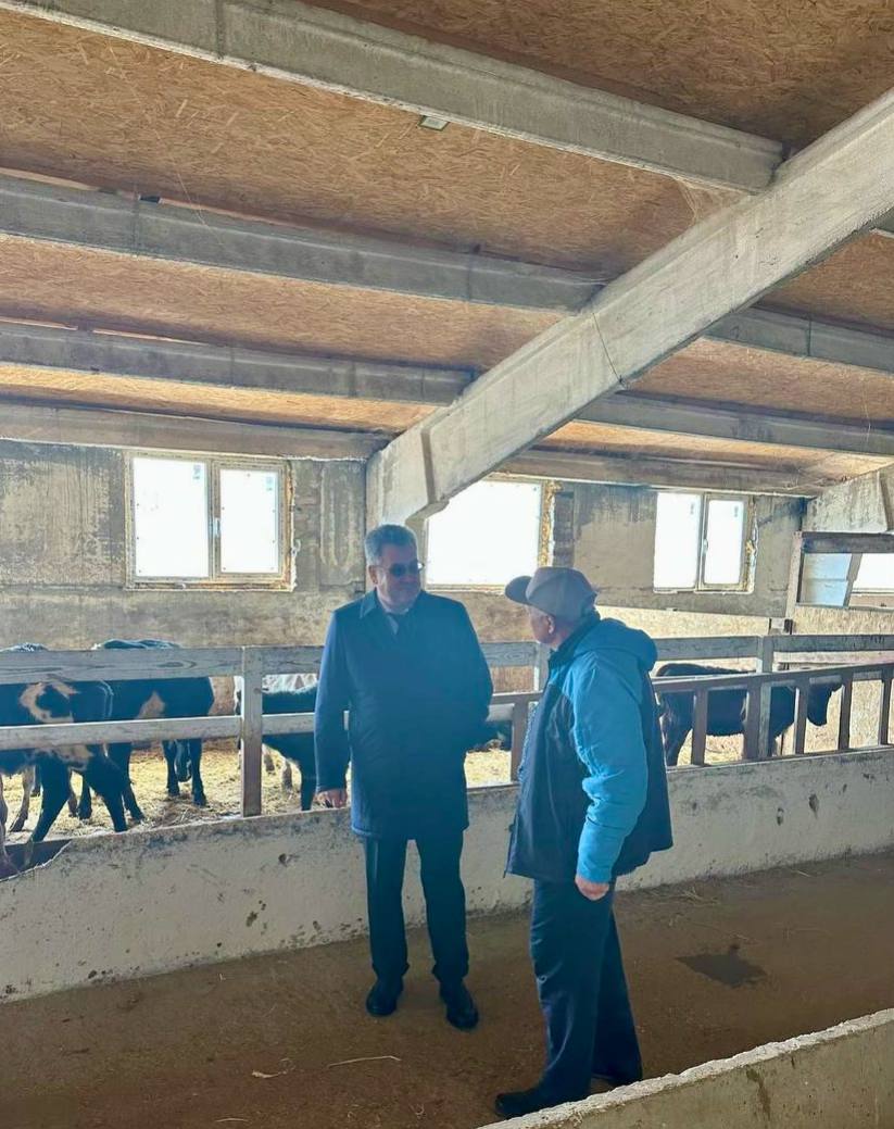 Николай Приставка: С рабочим выездом посетил Крестьянское фермерское хозяйство Петра Ивановича Семенюка в селе Фронтовое Николай Приставка: С рабочим выездом посетил Крестьянское фермерское хозяйство Петра Ивановича Семенюка в селе Фронтовое