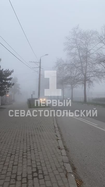 �� ����������� ��������� ������ �����