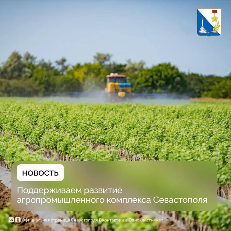 Поддерживаем развитие агропромышленного комплекса Севастополя