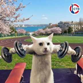 ����������� ����� � ����� ����� ���������� �������� ������