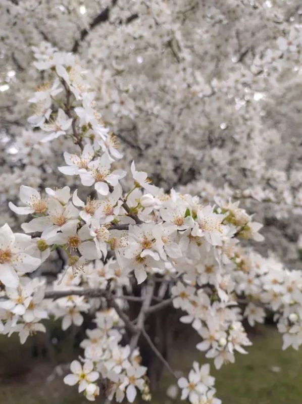 ������ � ����������� ������� � ������������