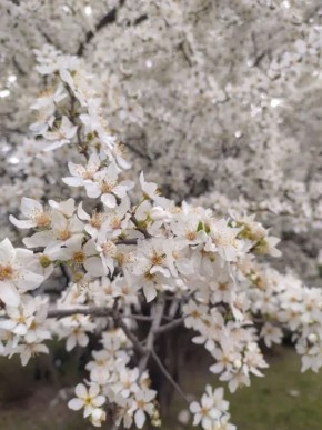 ������ � ����������� ������� � ������������