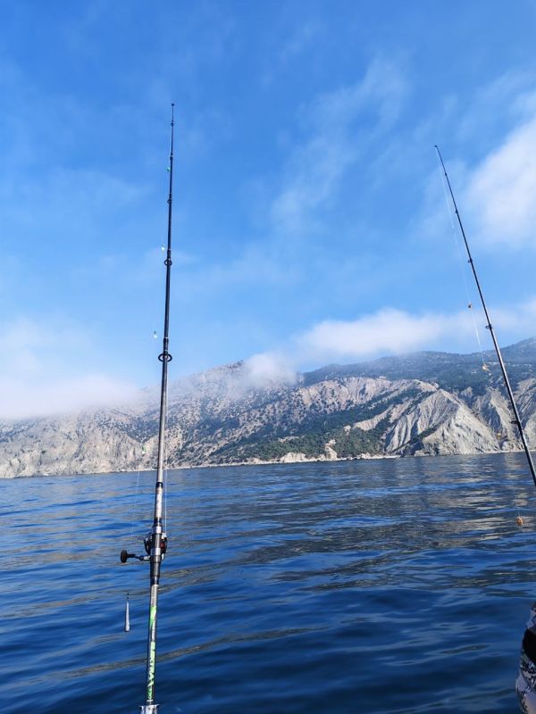 � ������ �����, ������!. � ����������� ���� �����