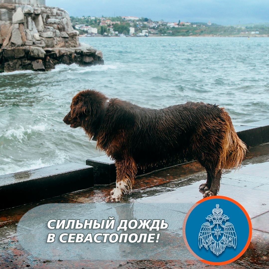 Сильный дождь ожидается в Севастополе!