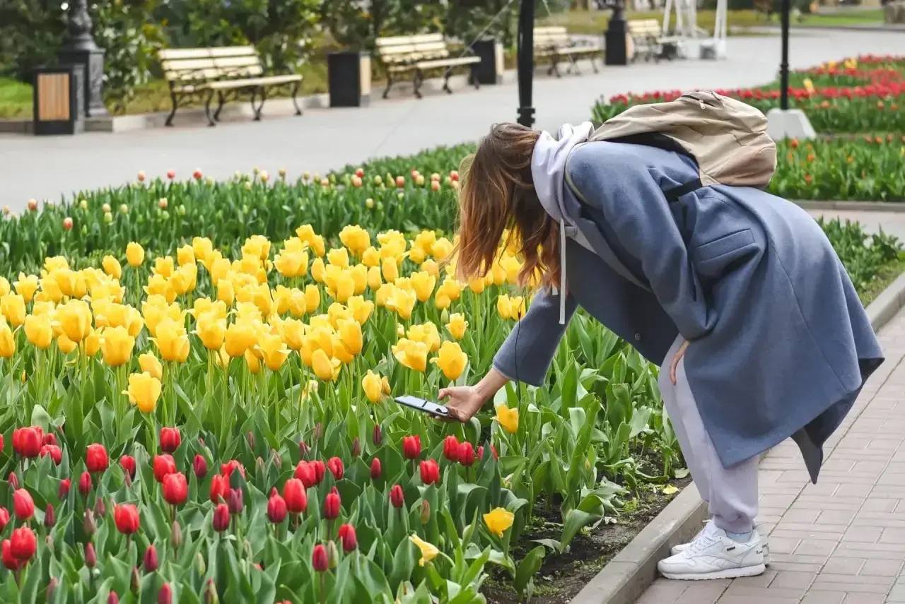 Севастопольцы, готовьте телефоны – город расцветает