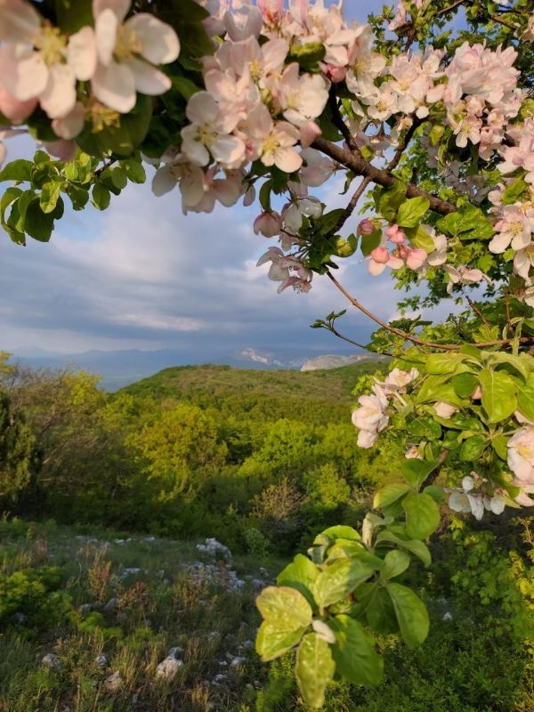 С добрым утром, друзья!. В понедельник 30 марта в Севастополе днем дождь, временами сильный