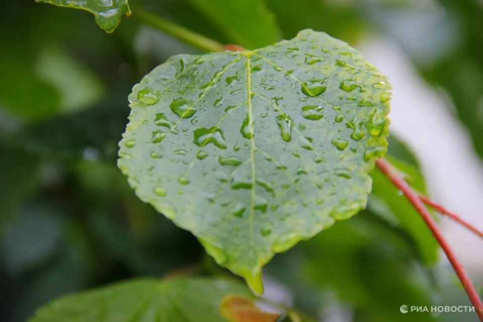 Прогноз погоды в Крыму на понедельник