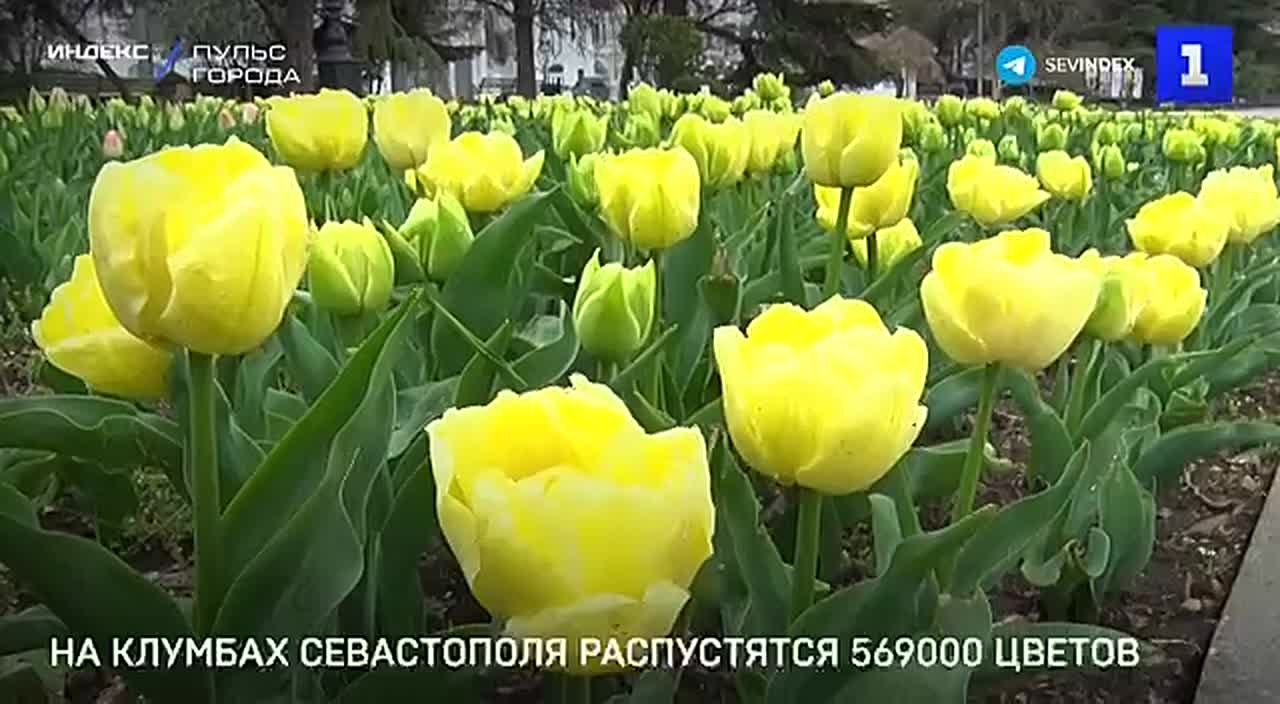 В Севастополе к новому сезону подготовили почти 570 тыс