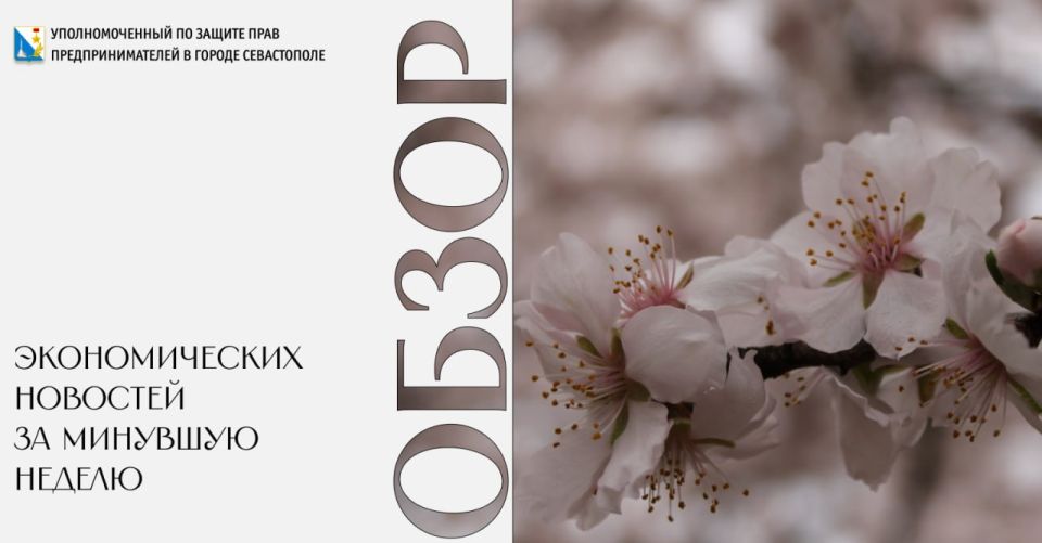 Илья Пестерников: Президент России Владимир Путин на съезде РСПП: