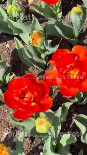 ������ �������� ����� �������� � �����, � � ����������� ���������� ��������� ����