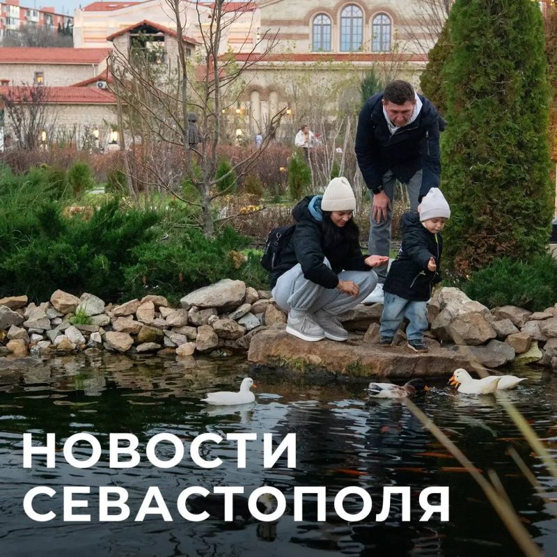 Михаил Развожаев: Коротко о главном:. Тыловое — с газом