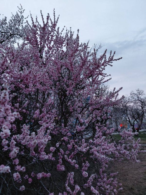 Погода на 30 марта:. • пасмурно небольшой дождь