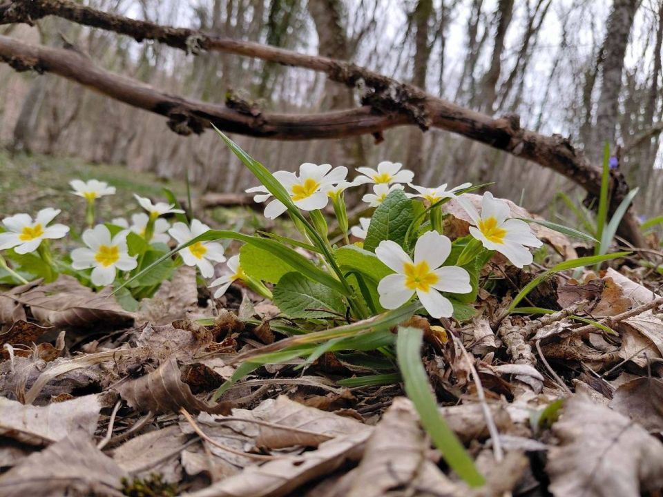 ������ �� 31 �����:. � �������� ��������� �����