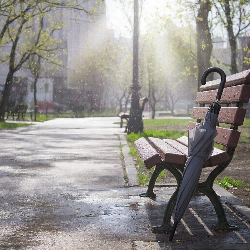 ������� ������ � ����� �� 31 �����