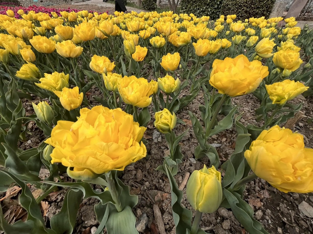 Доброго утра, друзья!. В Севастополе дождь, ночью временами сильный Доброго утра, друзья!. В Севастополе дождь, ночью временами сильный