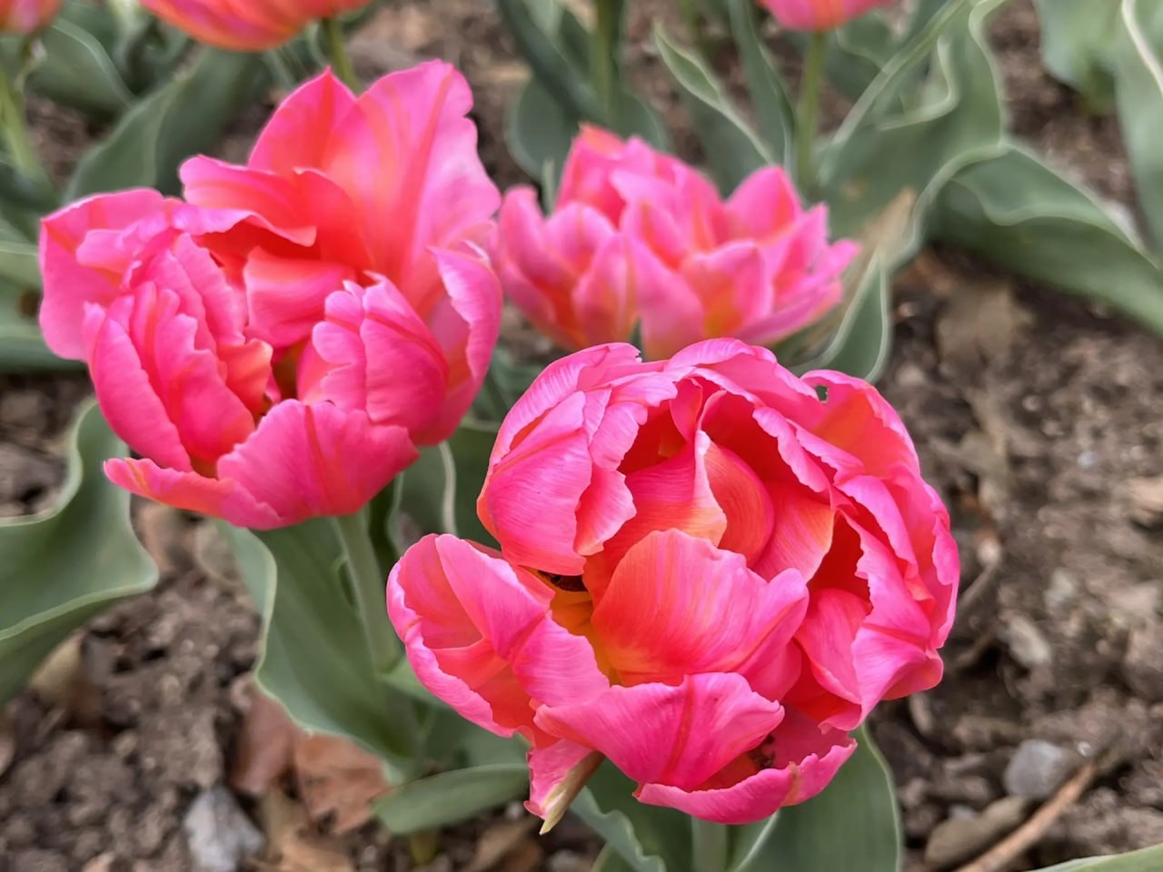 Доброго утра, друзья!. В Севастополе дождь, ночью временами сильный Доброго утра, друзья!. В Севастополе дождь, ночью временами сильный