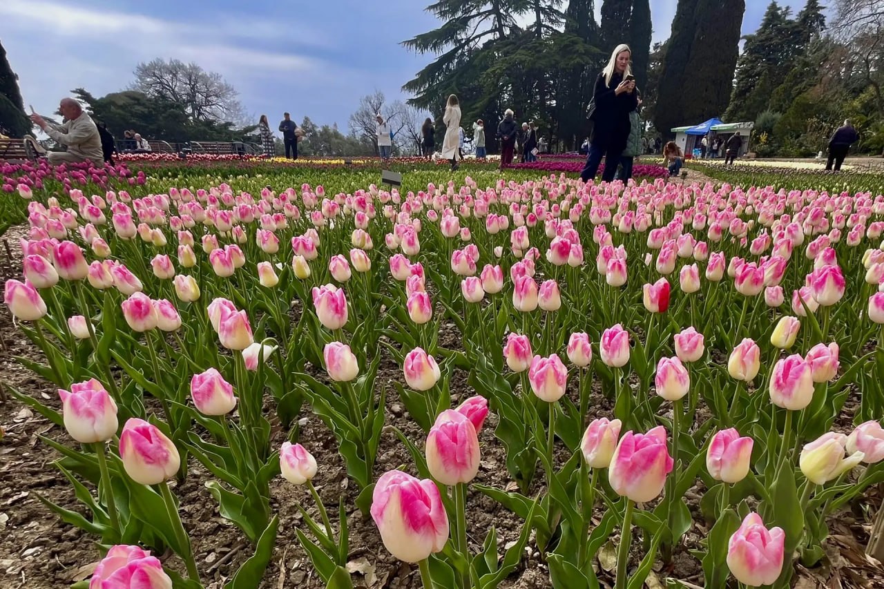 Доброго утра, друзья!. В Севастополе дождь, ночью временами сильный Доброго утра, друзья!. В Севастополе дождь, ночью временами сильный