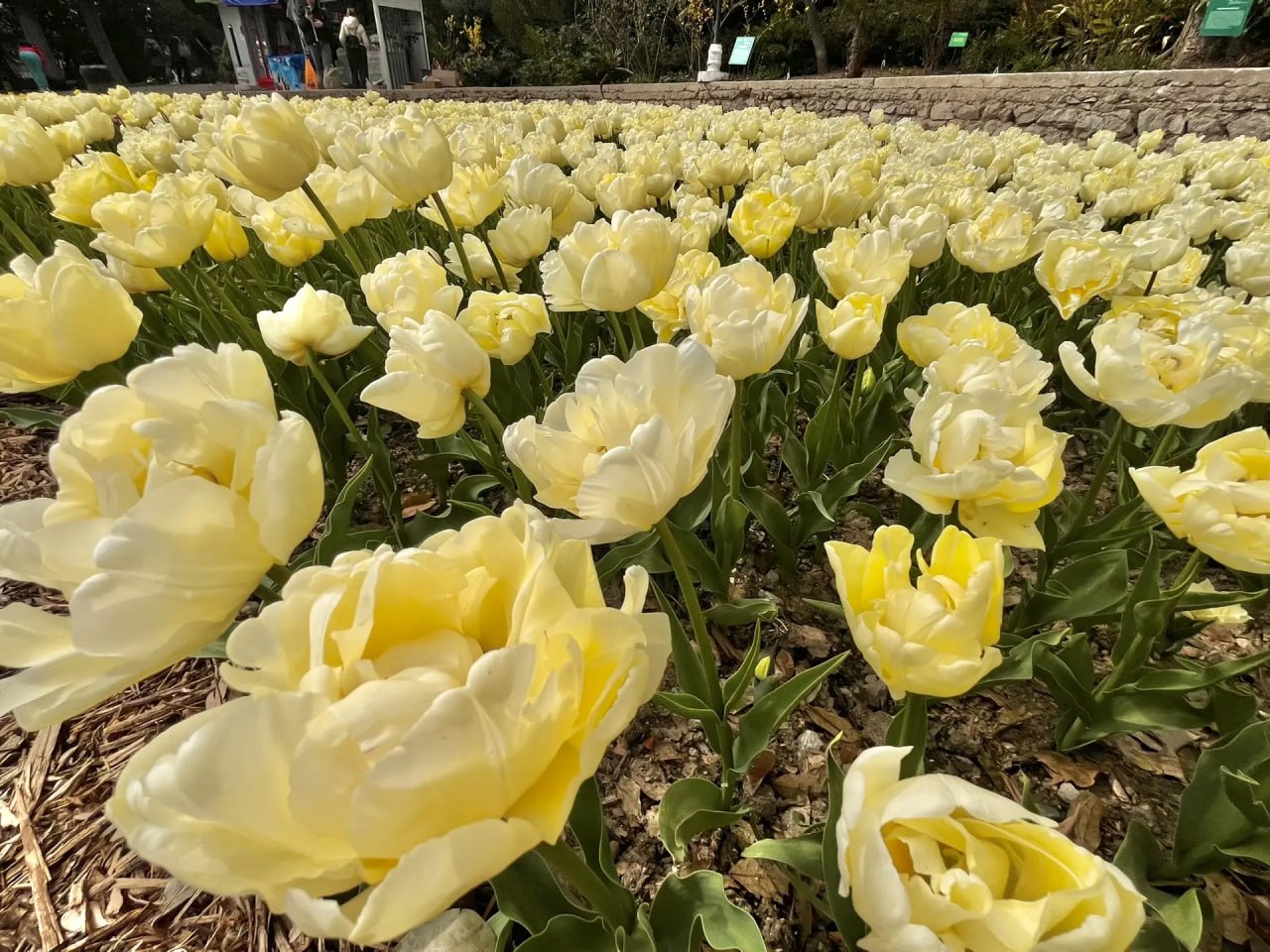 Доброго утра, друзья!. В Севастополе дождь, ночью временами сильный Доброго утра, друзья!. В Севастополе дождь, ночью временами сильный