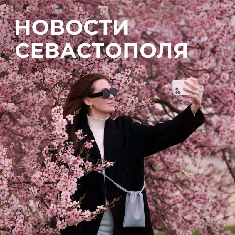 ������ ���������: ������� � �������:. ��������� ��������