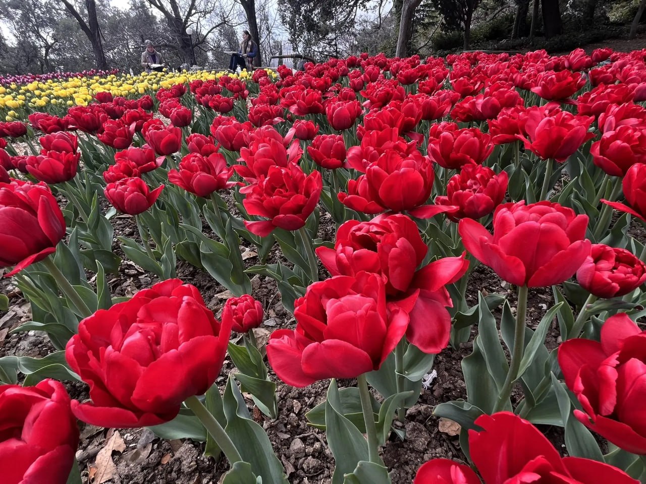 Доброго утра, друзья!. В Севастополе дождь, ночью временами сильный Доброго утра, друзья!. В Севастополе дождь, ночью временами сильный