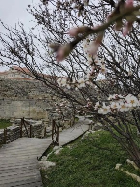 ����� ������, ������� ������ �� ���������� ��������, �� ��������� �������