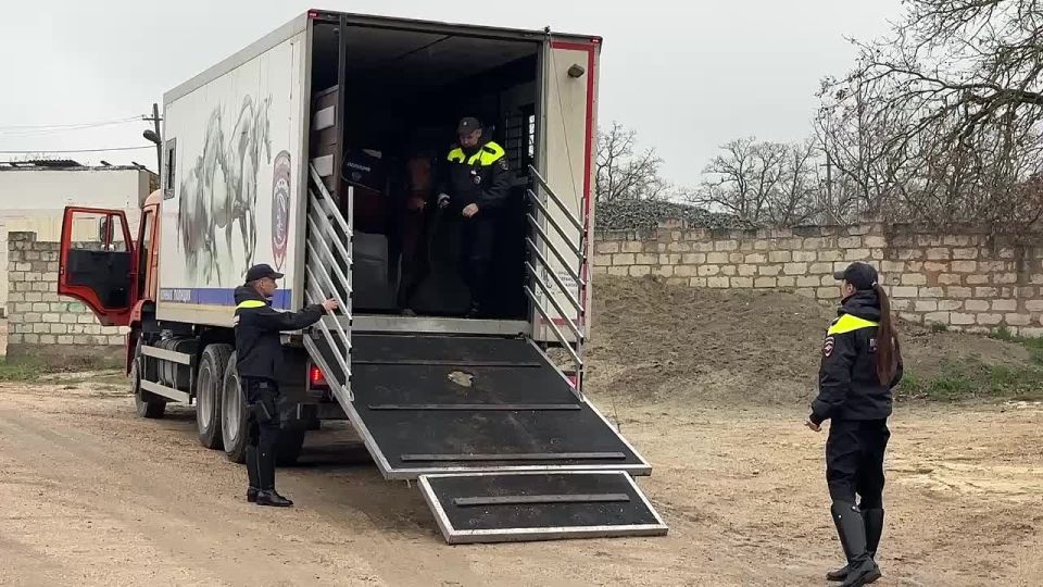 � ����������� ����������� ����������� ��������� � ��������������� ����������� ������� ���������������� ����