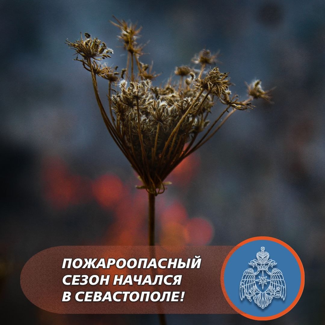 В лес иди, но огонь не разводи!