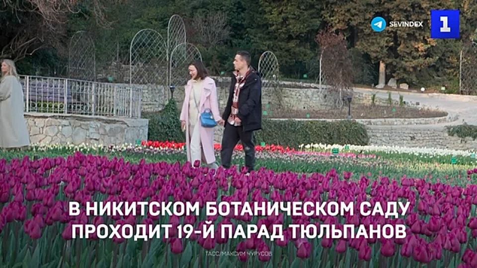 � ��������� ������������ ���� �������� 19-� ����� ���������