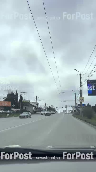 #���_�����. �� ����������� ������� ���������