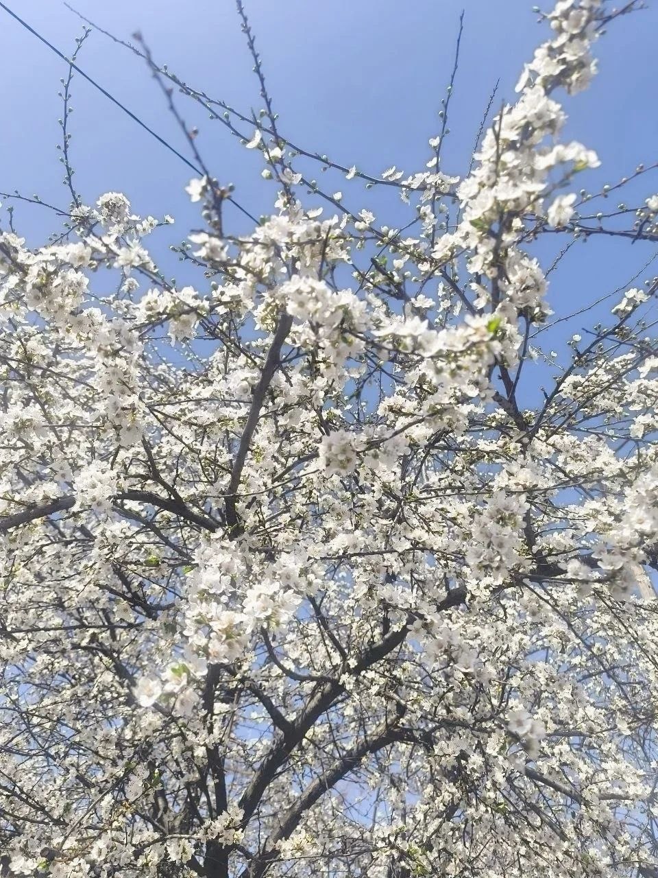 С добрым утром, друзья!. В Севастополе 1 апреля без осадков С добрым утром, друзья!. В Севастополе 1 апреля без осадков
