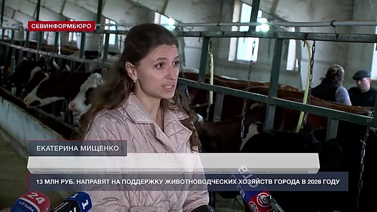 13 млн рублей направят на поддержку животноводческих хозяйств Севастополя в 2026 году