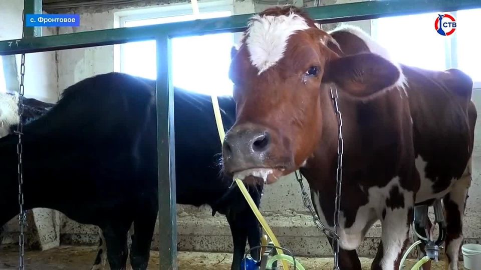 ��������� ������������ ����� � ���� ��������� ��������� ������������ ������ � ����