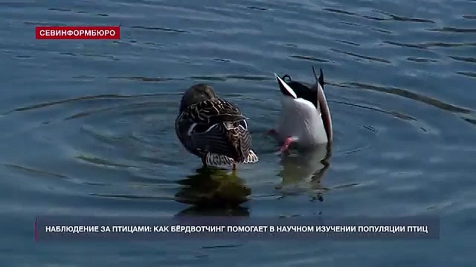 ����� ���� ����� ��������� � ����������� � ��� �� ���� ���������